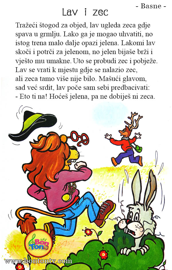 Lav i zec