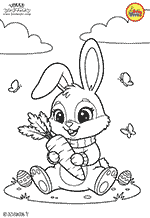 29