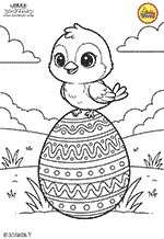33