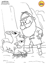 33