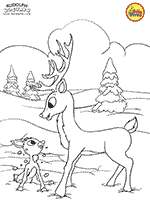 26